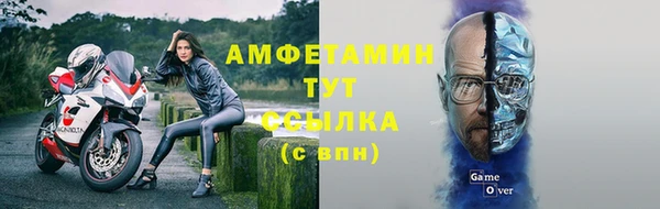 трава Наволоки