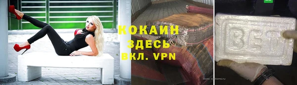трава Наволоки