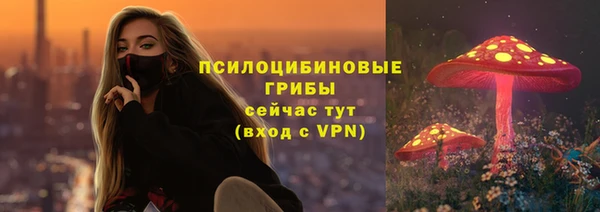 трава Наволоки