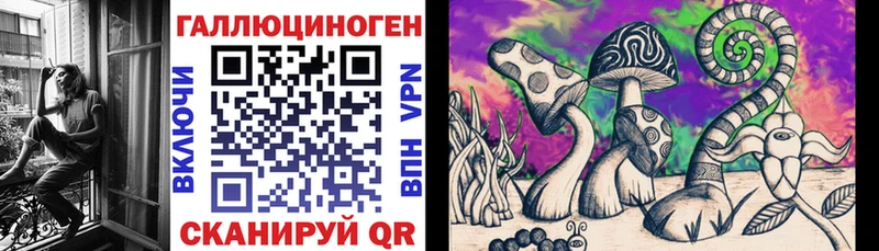 Купить закладки Шарыпово Псилоцибиновые грибы ЛСД